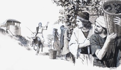 Vigneto biblico da English School