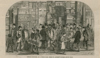 Fiera degli uccelli, Great St Andrews Street, Seven Dials, Londra da English School