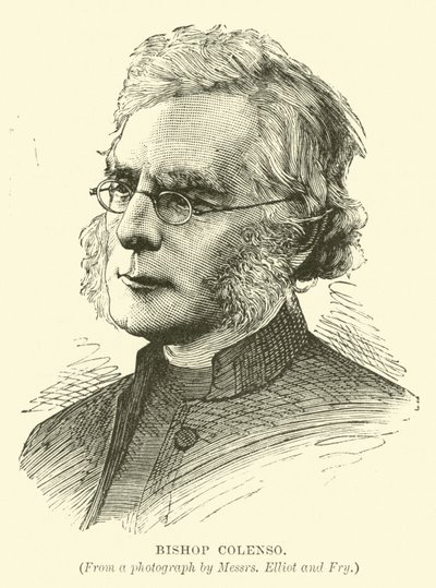 Bishop Colenso da English School