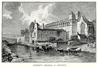 Palazzo del Vescovo, S David (incisione) da English School