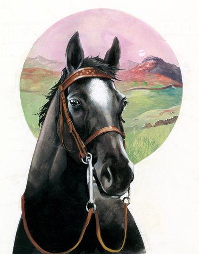 Black Beauty da English School