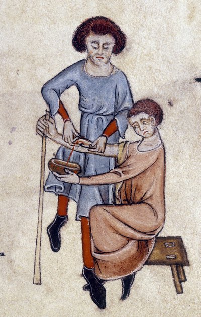 Salasso, dal Luttrell Psalter, c.1325-35 da English School