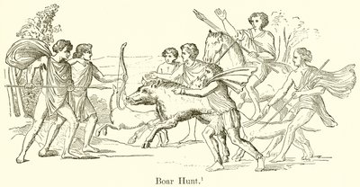 Caccia al cinghiale da English School