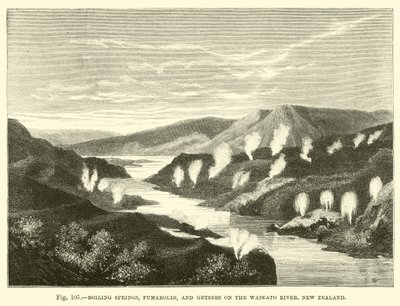 Sorgenti bollenti, fumarole e geyser sul fiume Waikato, Nuova Zelanda da English School