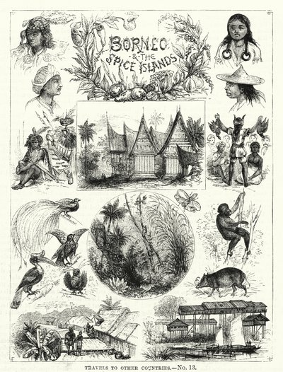 Borneo e le Isole delle Spezie (incisione) da English School