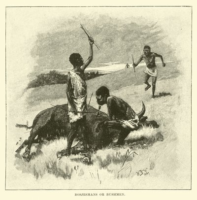 Boscimani o Bushmen da English School