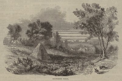 Campo di Bosworth da English School