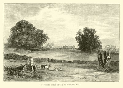 Campo di Bosworth e Pozzo di Re Riccardo da English School