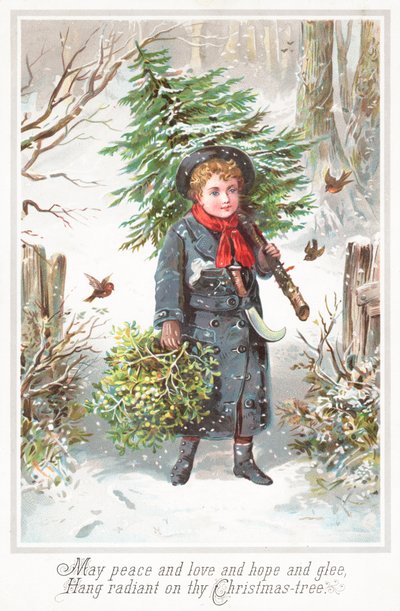 Ragazzo che porta un albero di Natale sulla spalla da English School