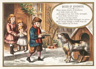 Ragazzo che dà da mangiare al cane nel canile da English School