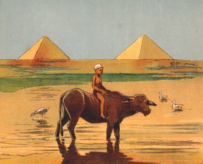 Ragazzo a cavallo di un bue davanti alle piramidi, Egitto (litografia a colori) da English School