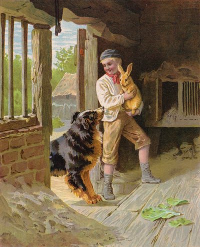 Ragazzo con un cane e un coniglio in una fattoria da English School