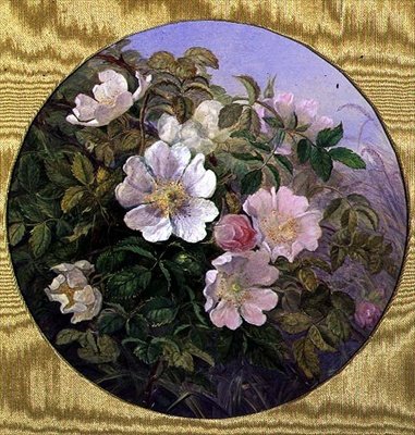 Rose selvatiche, c.1890 da English School