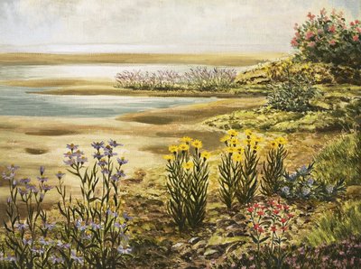 Fiori di palude inglese da English School