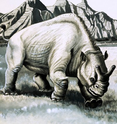 Brontoterio dell