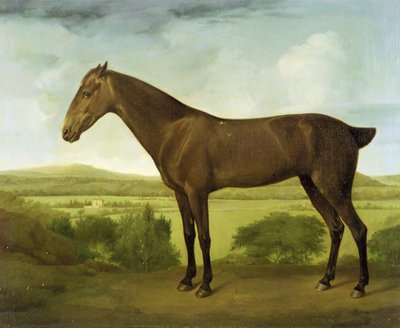 Cavallo marrone in un paesaggio collinare, c.1780-1800 da English School