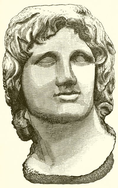 Busto di Alessandro Magno da English School