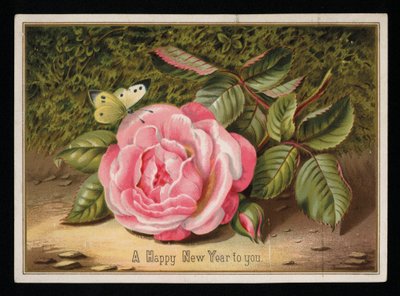 Farfalla con una rosa rosa, cartolina di auguri di Capodanno da English School