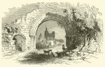 Abbazia di Byland da English School