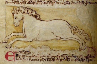 Cavallo, dal Bestiario da English School