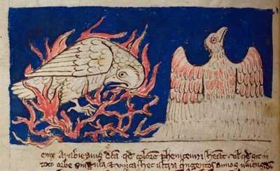 CCA-LitMs/D/10 fol. 17v Fenice, dal Bestiario da English School