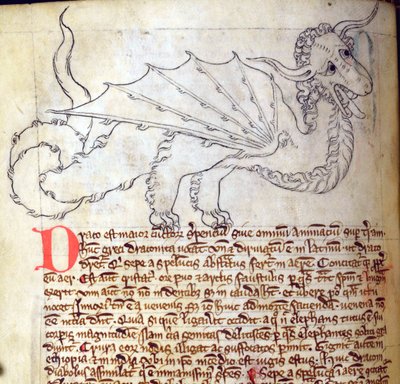 CCA-LitMs/D/10 fol. 24v Drago, dal Bestiario da English School