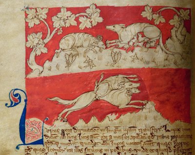CCA-LitMs/D/10 fol. 4v Lupo, dal Bestiario da English School