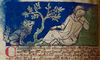 CCA-LitMs/D/10 fol. 5v Cane, dal Bestiario da English School