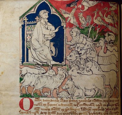 Adamo, dal Bestiario da English School