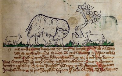 CCA-LitMs/D/10 fol. 8r Pecora, dal Bestiario da English School