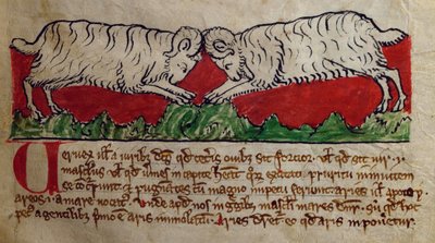 Montone, dal Bestiario da English School