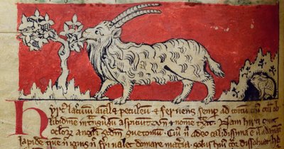 Capra, dal Bestiario da English School