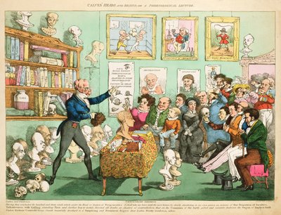 Teste e cervelli di vitello; o una lezione frenologica, 1826 da English School
