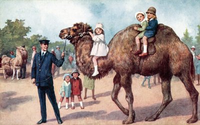 Cammello che trasporta bambini, Zoo di Londra da English School