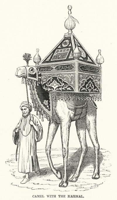 Cammello con il Mahmal (incisione) da English School