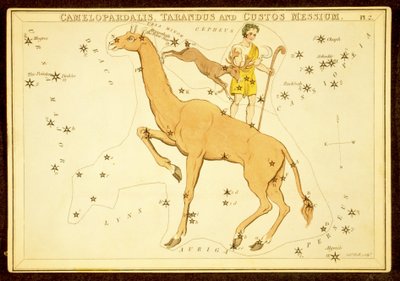 Camelopardalis, Tarandus e Custos Messium, pub. 1825 da English School