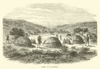 Campo dei Boscimani da English School