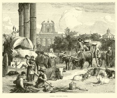 Campo Vaccino, Roma da English School