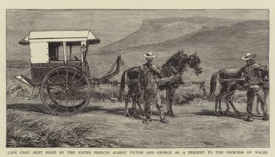 Carro del Capo inviato a casa dai giovani principi Alberto Vittorio e Giorgio come regalo alla Principessa del Galles (incisione) da English School
