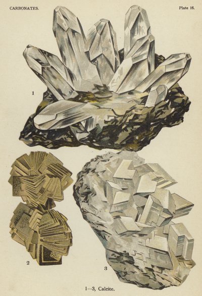 Carbonati, calcite (litografia a colori) da English School