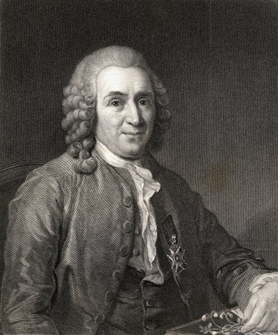Carl von Linné o Linneo da Gallery of Portraits, pubblicato nel 1833 da English School