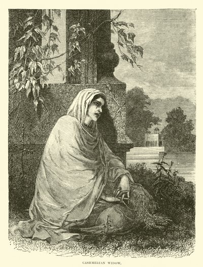 Vedova del Kashmir da English School