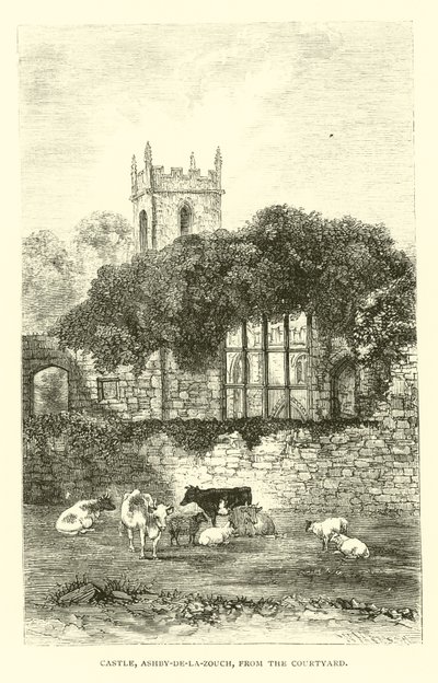 Castello, Ashby-de-la-Zouch, dal Cortile da English School