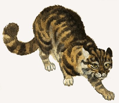 Gatto da English School