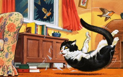 Gatto che cade attraverso una finestra di vetro da English School