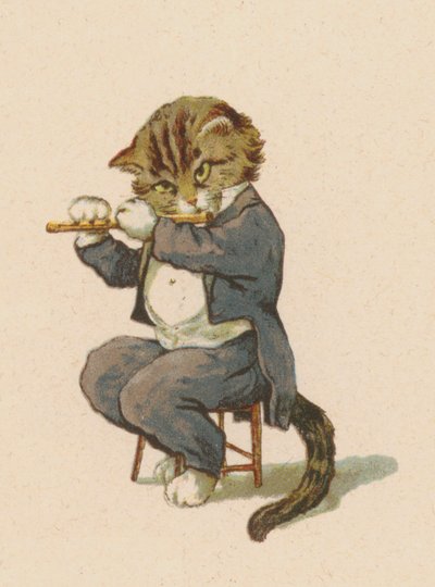 Gatto che suona il flauto (cromolitografia) da English School