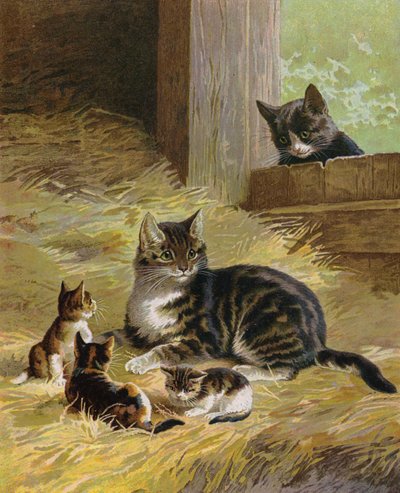 Gatto con i suoi gattini in un fienile da English School
