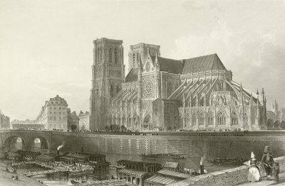 Cattedrale di Notre Dame - Parigi da English School