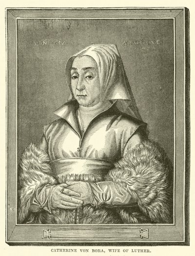 Caterina von Bora, Moglie di Lutero (incisione) da English School