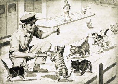 I gatti vengono a salutare l